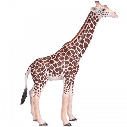 Girafa